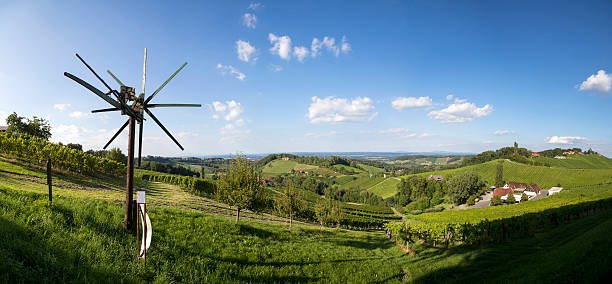 panorama vineyard in southern styria near spielfeld, the austrian border to slovenia