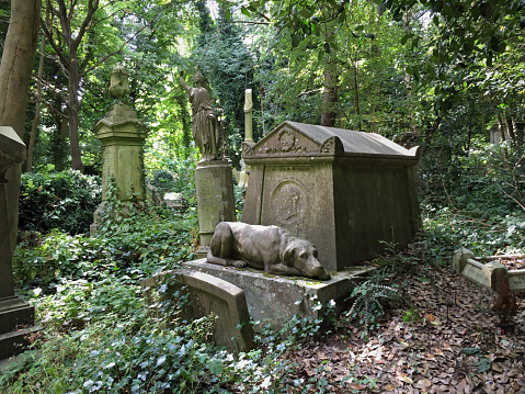 Victorian gravestones (this with a pet dog dated 1865) in an overgrown and neglected north London cemetery