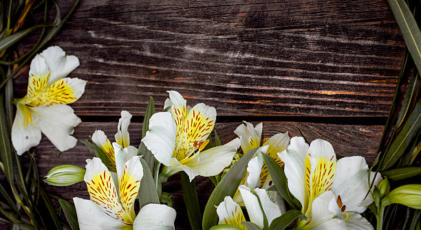 istock White astromeria on wooden background 598148478