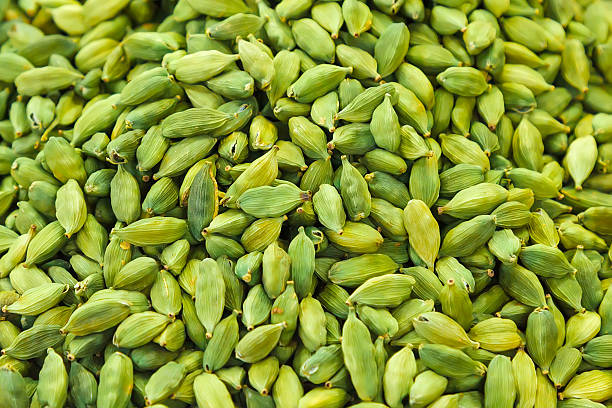 verde cardamomo - cardamom imagens e fotografias de stock