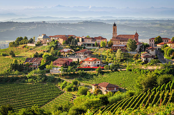 Treiso (The Langhe) Treiso (The Langhe) langhe photos stock pictures, royalty-free photos & images