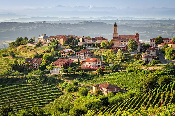 Treiso (The Langhe)