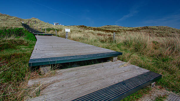 istock Beautiful landscape on Sylt island 598150138
