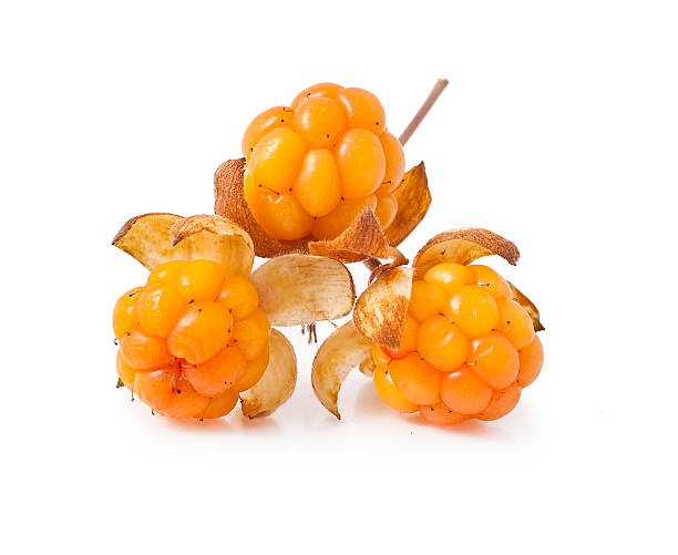 cloudberry  - cloud berry 뉴스 사진 이미지