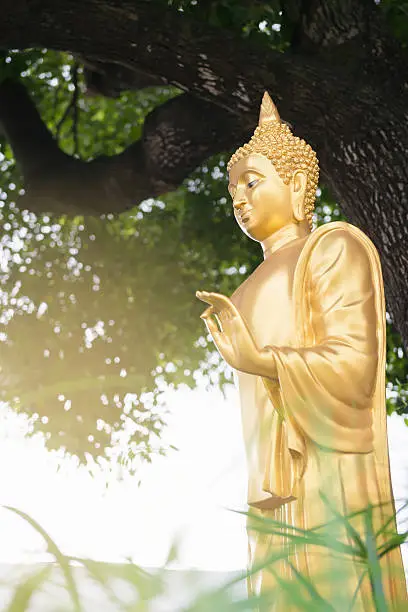 Photo of Golden Buddha Statue