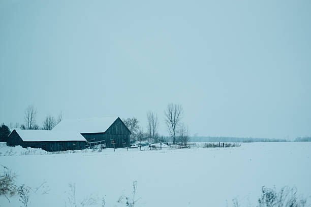 istock Canadian rural winter scene 598158126