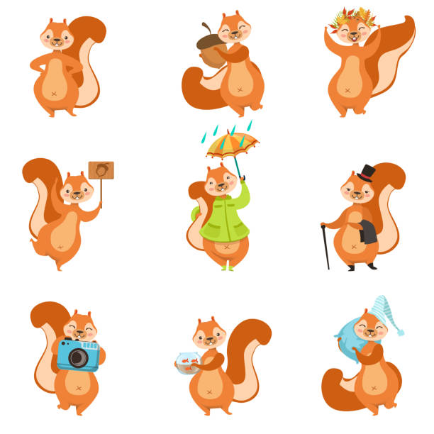 eichhörnchen verschiedene aktivitäten set von girly charakter aufkleber - bauchnabel stock-grafiken, -clipart, -cartoons und -symbole