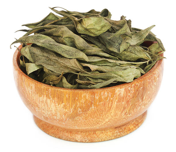 istock Ayurvedic medicinal Chirata leaves 598161730