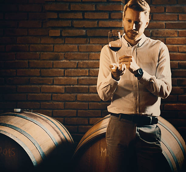Wine tasting. Closeup front view of a mid 30's handsome man visually examining a glass of wine at a wine cellar. He's standing next to a row of oak casks. Holding the wineglass by its foot and shaking it. taste test stock pictures, royalty-free photos & images