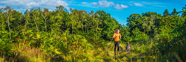 young woman running with dog through green forest trail panorama - extreme terrain footpath british culture green imagens e fotografias de stock
