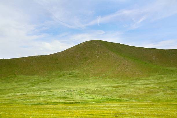 istock The  large meadow at Ulaanbaatar , Mongolia 598174468