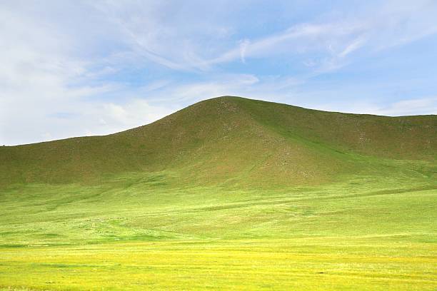 istock The  large meadow at Ulaanbaatar , Mongolia 598174592