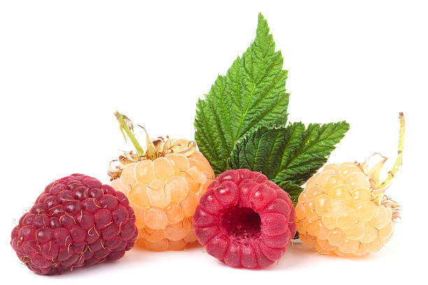 istock red and yellow raspberries with leaves on a white background 598176488