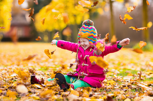 Little girl playing in autumn park with golden maple leaves