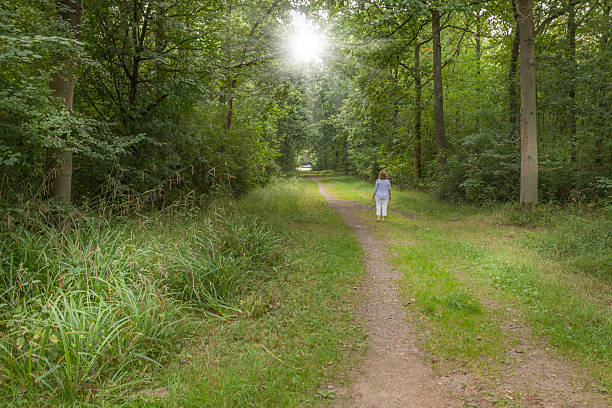 istock Woman walking in forest 598177328