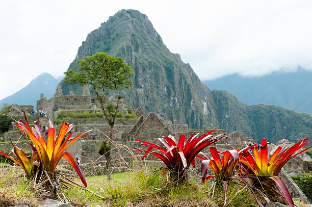 Machu Picchu, Aguas Calientes, Peru: Machu Picchu is a 15th-century Inca citadel located in the Eastern Cordillera of southern Peru on a 2,430-meter (7,970 ft) mountain ridge. It is located in the Machupicchu District within Urubamba Province  above the Sacred Valley, which is 80 kilometers (50 mi) northwest of Cusco. The Urubamba River flows past it, cutting through the Cordillera and creating a canyon with a tropical mountain climate.Most recent archaeologists believe that Machu Picchu was constructed as an estate for the Inca emperor Pachacuti (1438–1472). Often referred to as the \