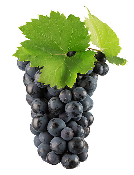 istock purple grapes isolated on the white background 598178758