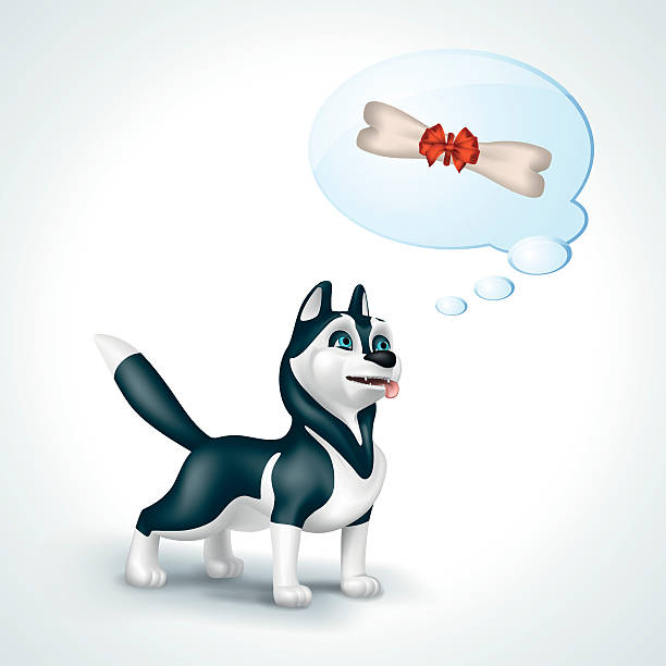 illustrations, cliparts, dessins animés et icônes de chien husky sibérien avec bulle de pensée pensant à l’os - thought bubble dog dog bone cartoon