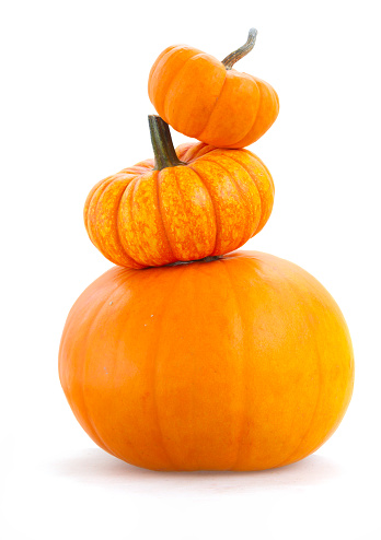 Tower of pumpkins isolated on white background