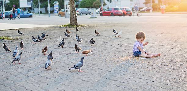 istock Baby girl feeding pigeons 598220004
