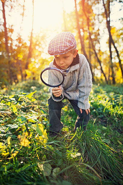 秋の森で自然を探索する小さな男の子 - children only adventure exploration education スト�ックフォトと画像