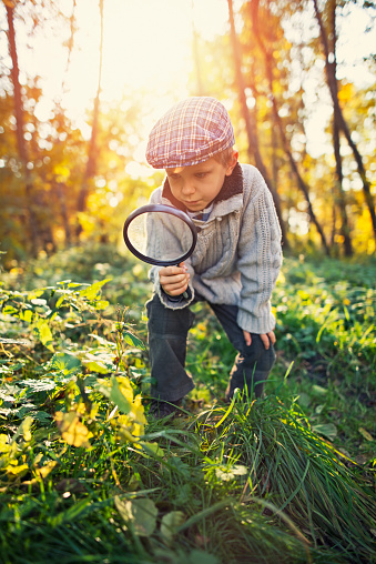 Little explorer playing in autumn forest, The boy is looking at plants or insects or tracks with magnifying glass.