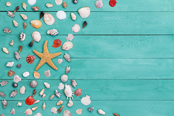 istock Sea star and assorted sea shells on stained wood 598221294