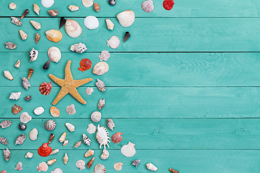 Sea star and assorted colorful sea shells of different shapes and sizes arranged in a decorative curve on green stained wooden boards with copy space conceptual of a summer vacation at the seaside