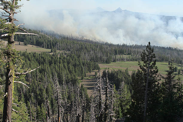 istock Wildfire in the Wilderness Fire Crater Lake 598221616