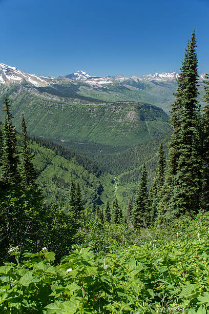 istock Highline Trail in Glacier National Park 598221974
