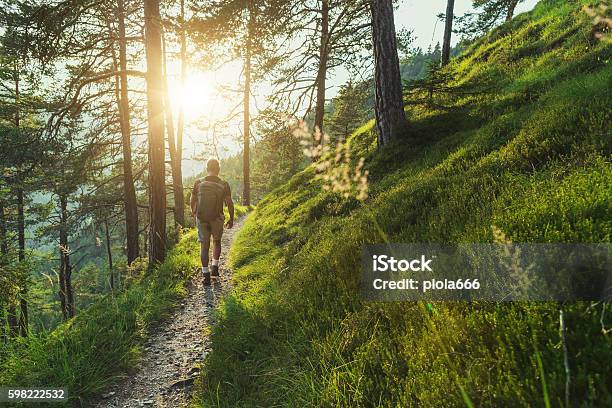 Senior Man Trail Hiking In The Forest At Sunset Stock Photo - Download Image Now - Hiking, Forest, Walking