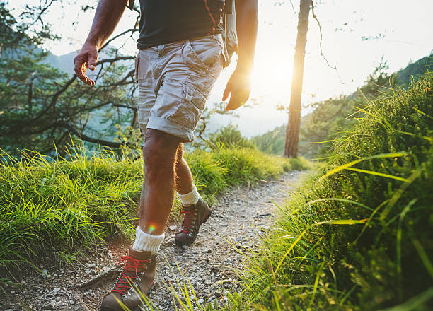 senior man trail hiking in the forest at sunset - wood dirt road footpath exercising imagens e fotografias de stock