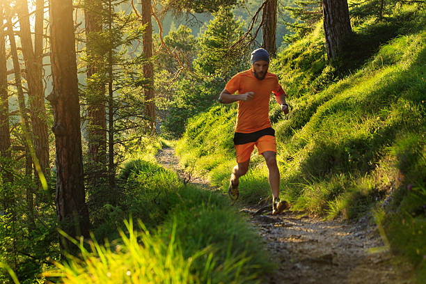istock Man trail running in the forest 598223140