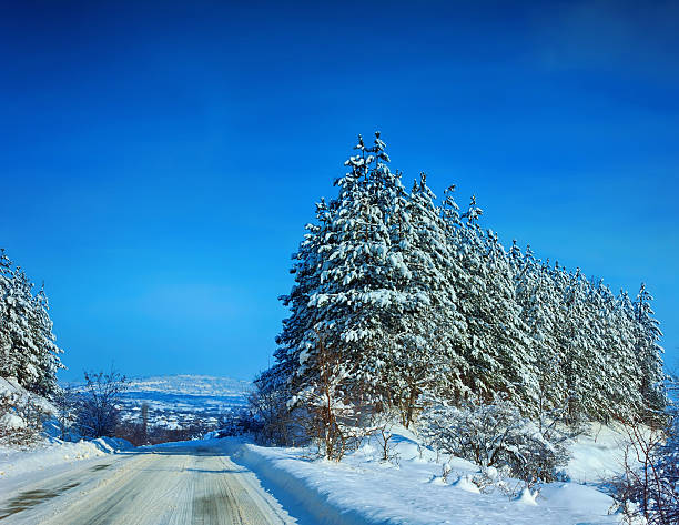 Winter Landscape with trees and a road covered with snow.