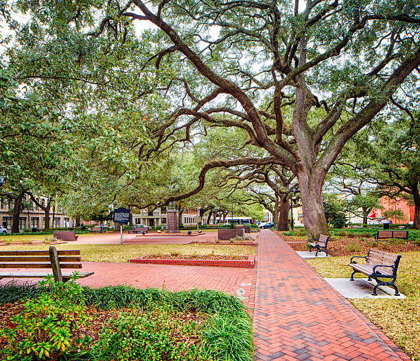 Savannah Georgia USA Town Square park Savannah Georgia USA Town Square park, with benches, pathway and old oak trees. georgia landscape stock pictures, royalty-free photos & images