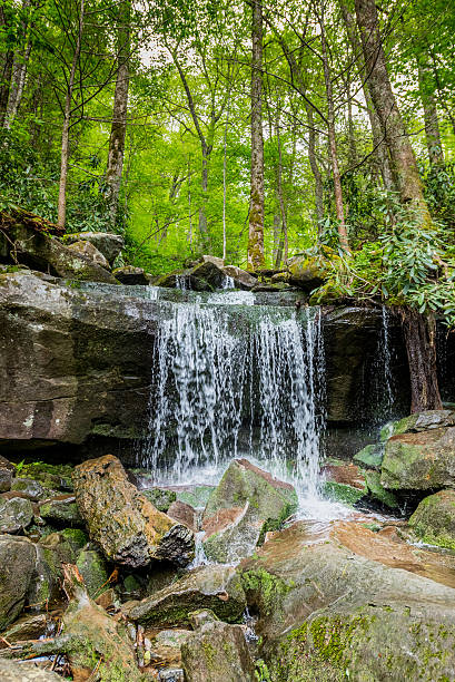 istock Small Waterfall on the Hike to Rainbow Falls 598225074