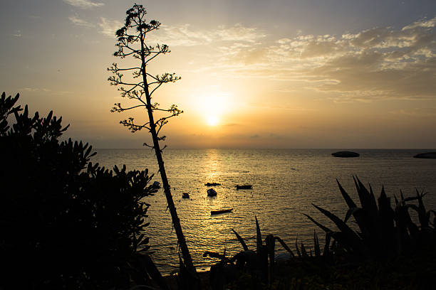 istock the sun approaches to water blushing with emotion 598225208