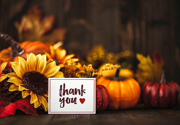 Thanksgiving still life background with pumpkins and autumn leaves Thanksgiving still life background with pumpkins and autumn leaves single flower flower autumn pumpkin stock pictures, royalty-free photos & images