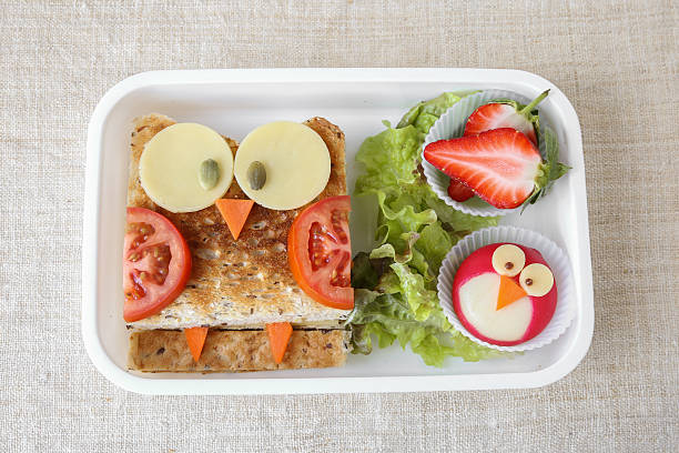 istock Owl healthy sandwich, fun lunch box for kids 598229686