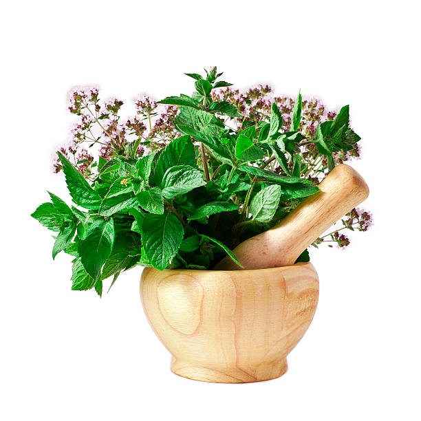 istock Mortar with fresh mint and oregano 598232058