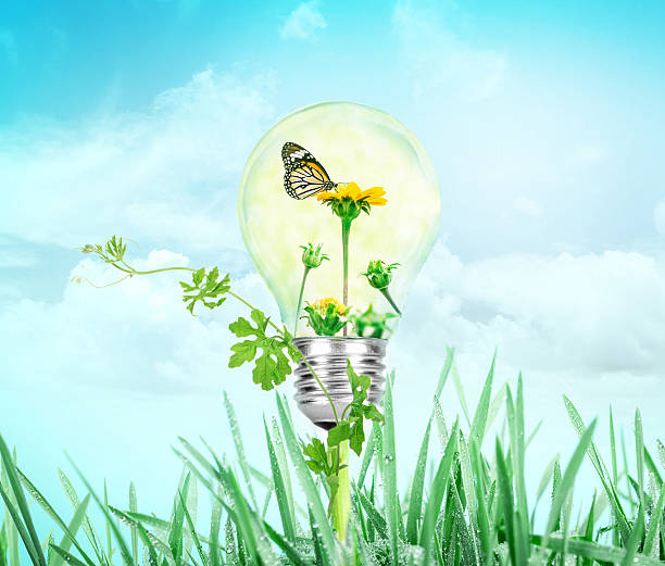 istock Light bulb with flower and butterfly inside on nature green 598234056