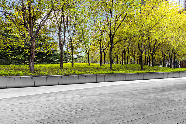 istock Row of trees beside pavement in downtown district 598234234
