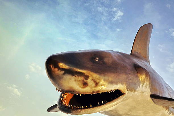 istock Jaws Of Shark Figure And The Sky Background 598235464