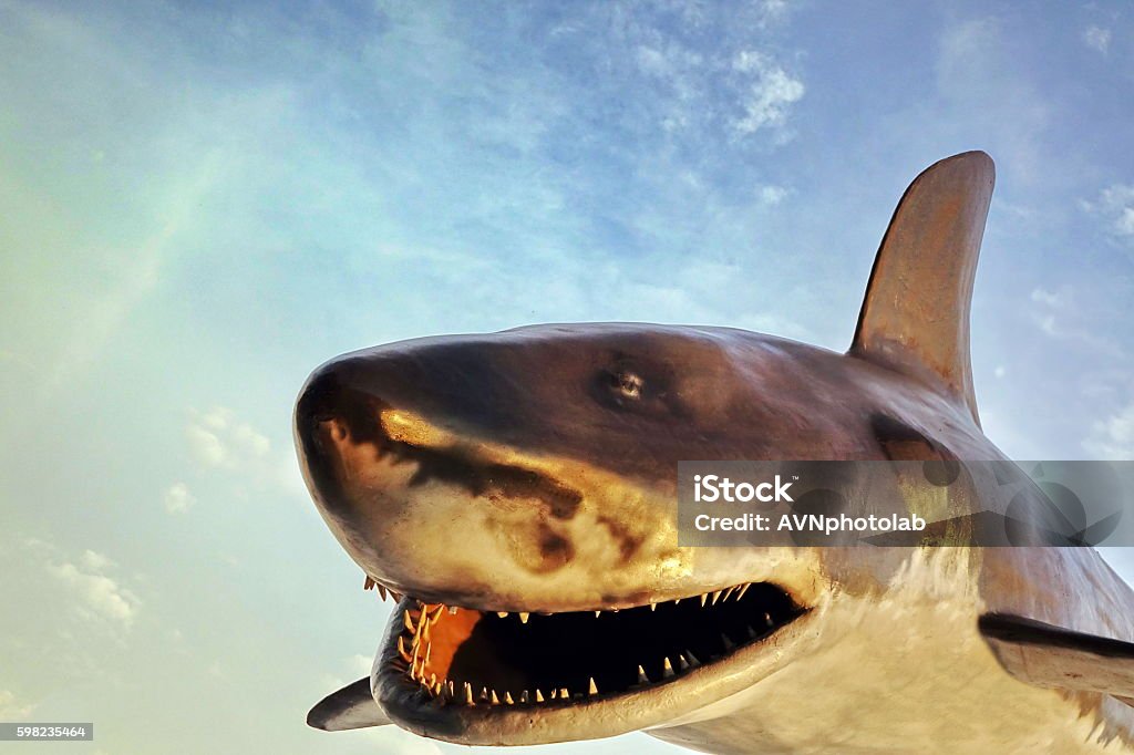 Jaws Of Shark Figure And The Sky Background - Royalty-free Köpek Balığı Stok görsel