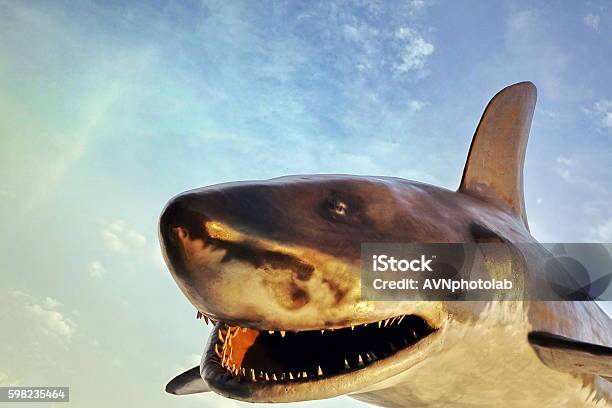Jaws Of Shark Figure And The Sky Background Stok Fotoğraflar & Köpek Balığı‘nin Daha Fazla Resimleri - Köpek Balığı, Oyuncak Köpekbalığı, Gülümseme