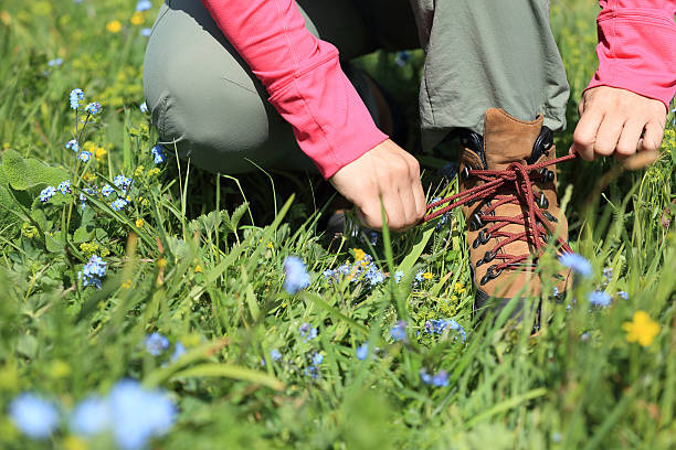 istock woman hiker tying shoelace on grassland grass 598235672
