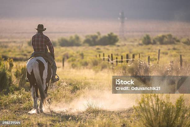 Cowboy Stockfoto und mehr Bilder von Texas - Texas, Pferd, Cowboy