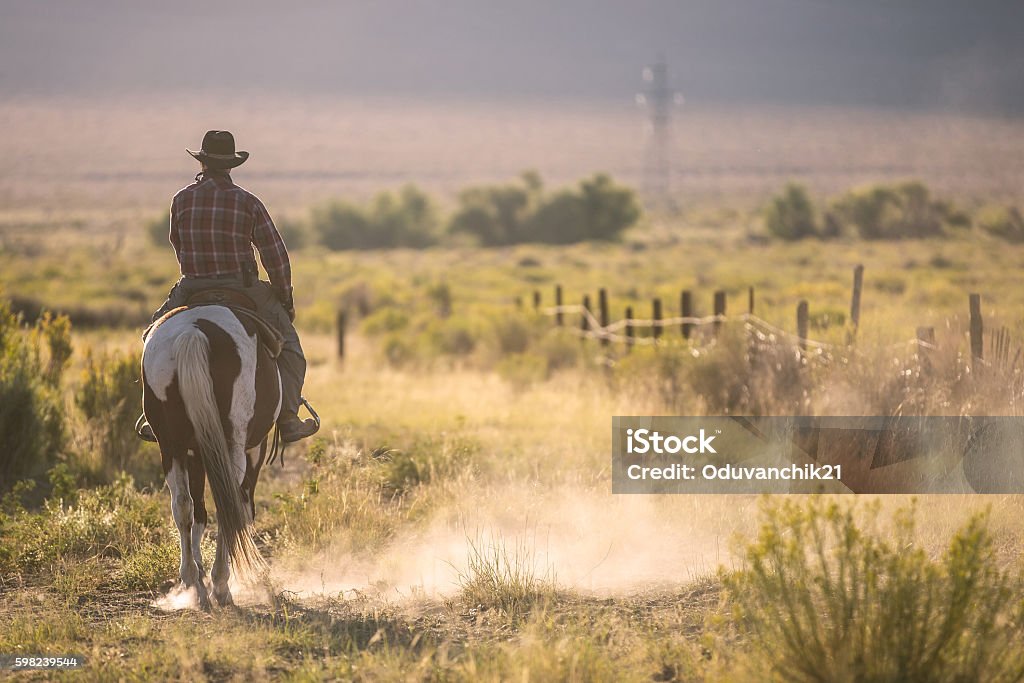 Cowboy  - Foto de stock de Texas libre de derechos