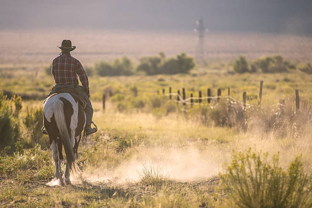 Cowboy Cowboys riding a horse over the mountains texas cowboy stock pictures, royalty-free photos & images