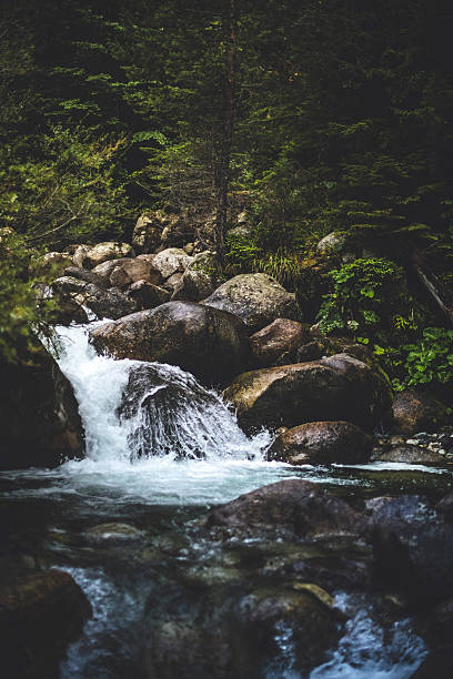 stream in berge - waterfall stream forest spring stock-fotos und bilder